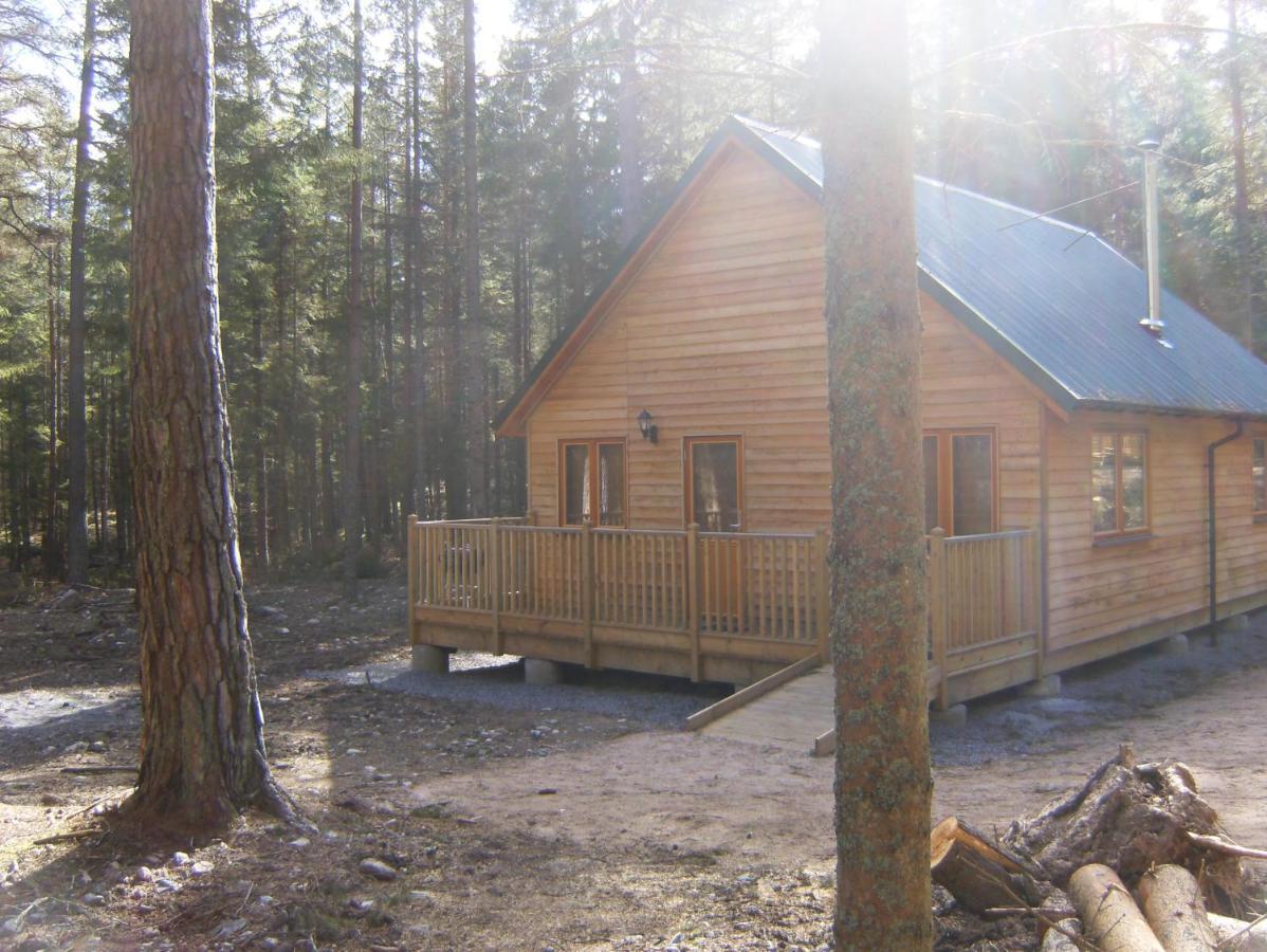 Lodge Cairngorm Aboyne