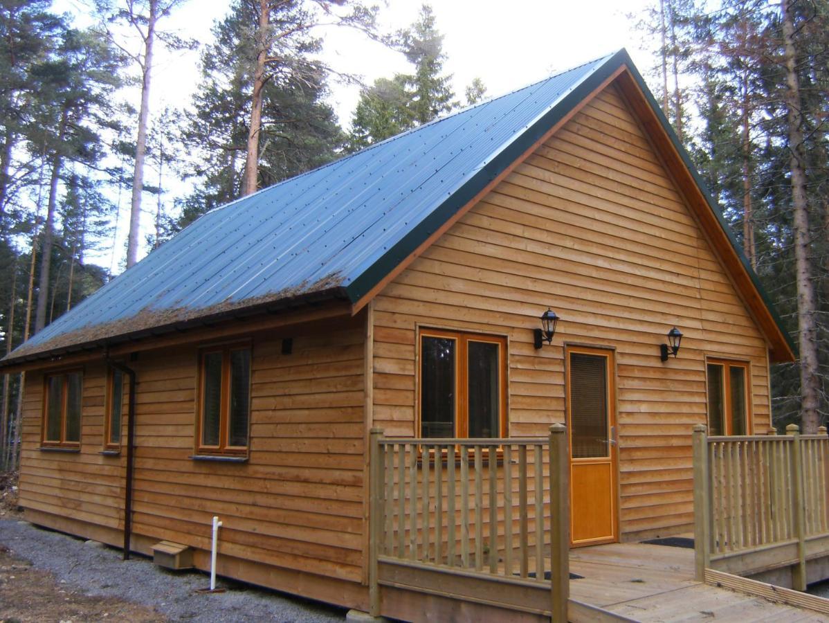 Lodge Cairngorm Aboyne