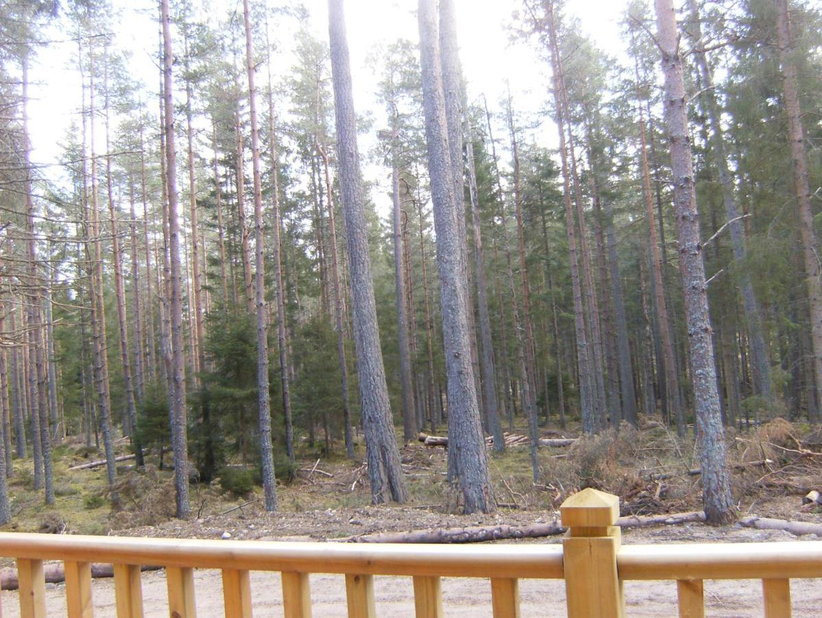Cairngorm Lodge Aboyne