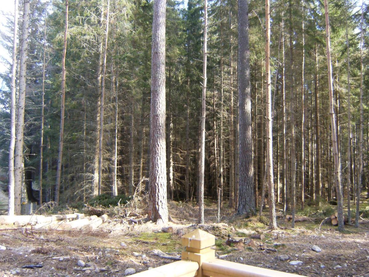 Cairngorm Lodge