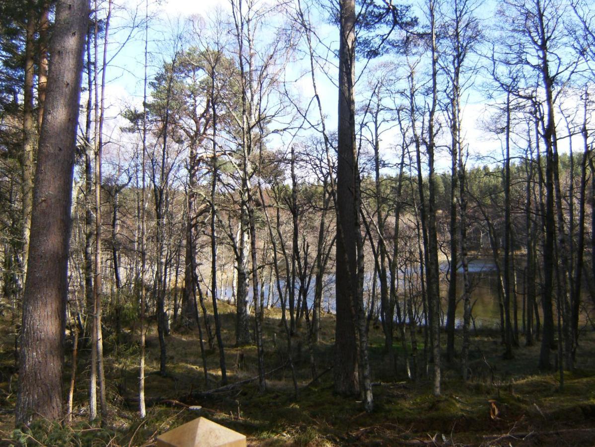 Cairngorm Lodge Aboyne