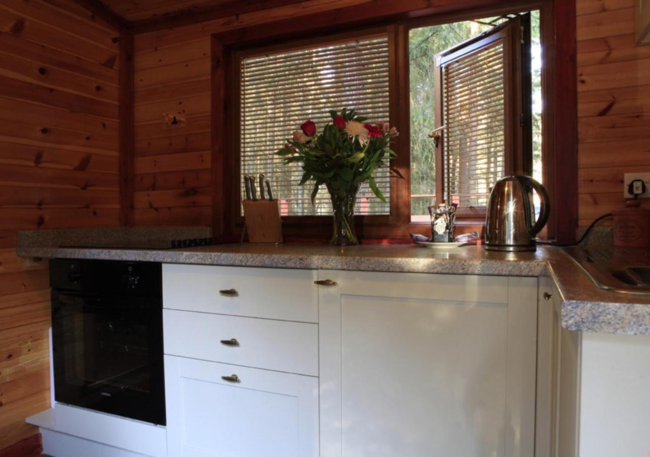 Lodge Cairngorm Aboyne