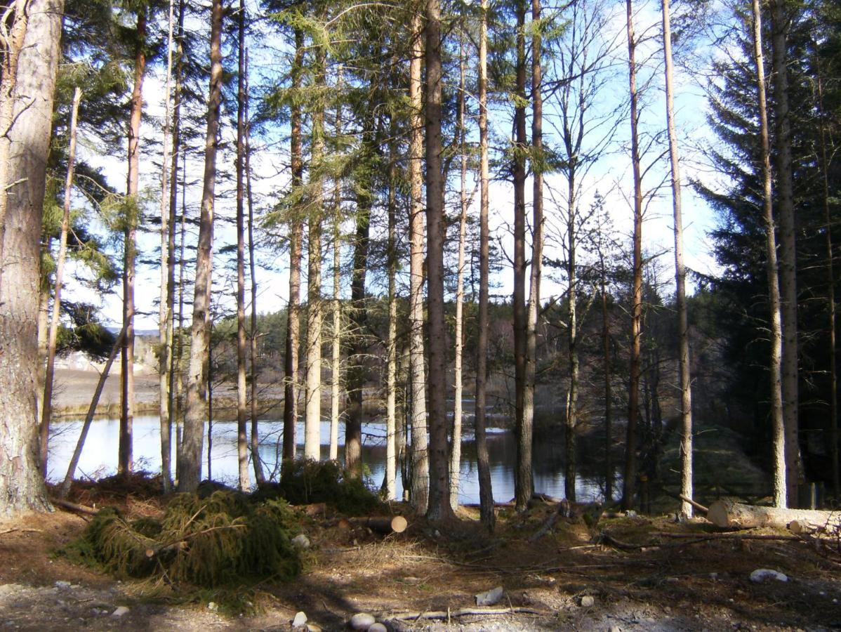 Cairngorm * Aboyne