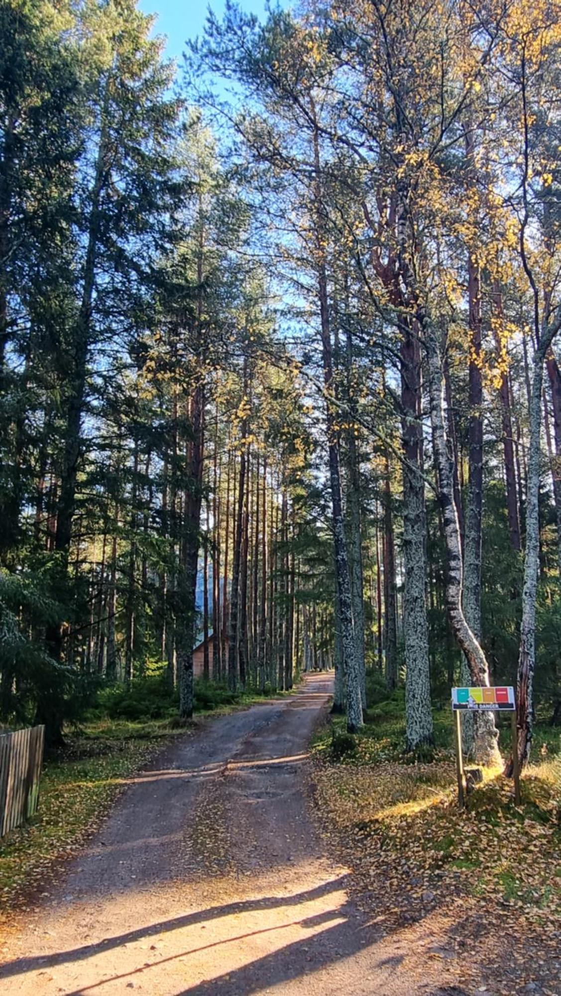 Lodge Cairngorm